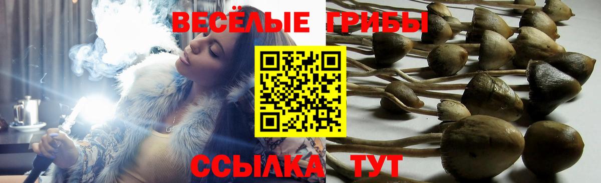 Галлюциногенные грибы мицелий Аргун